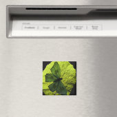 Aimant Papillon sur feuille (In Situ (Lave-vaisselle))