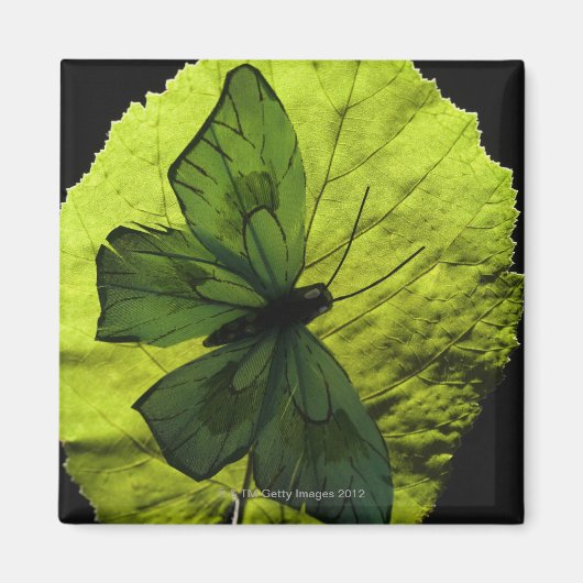 Aimant Papillon sur feuille (Devant)