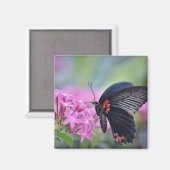 Aimant Papillon sur fleur (Recto/Verso)