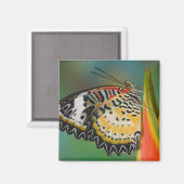 Aimant Papillon sur fleur tropicale (Recto/Verso)