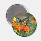 Aimant Papillon sur Fleurs Orange et Jaune (Recto/Verso)