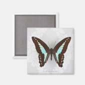 Aimant Papillon sur fond d'écran arrière - plan (Recto/Verso)