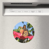 Aimant Papillon sur Hibiscus (In Situ (Lave-vaisselle))