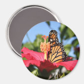 Aimant Papillon sur Hibiscus (Recto/Verso)