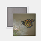 Aimant Papillon sur le pissenlit (Recto/Verso)