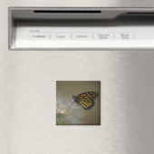 Aimant Papillon sur le pissenlit (In Situ (Lave-vaisselle))