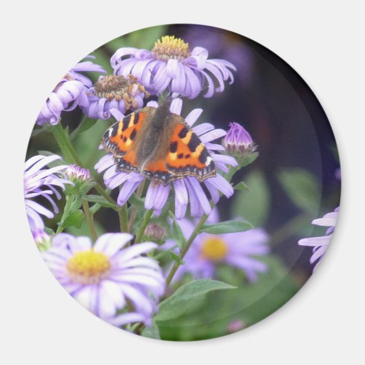 Aimant Papillon sur les fleurs (Devant)