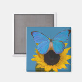 Aimant Papillon sur tournesol (Recto/Verso)