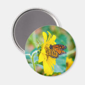 Aimant Papillon sur un tournesol (Recto/Verso)