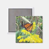 Aimant Papillon sur une fleur (Recto/Verso)