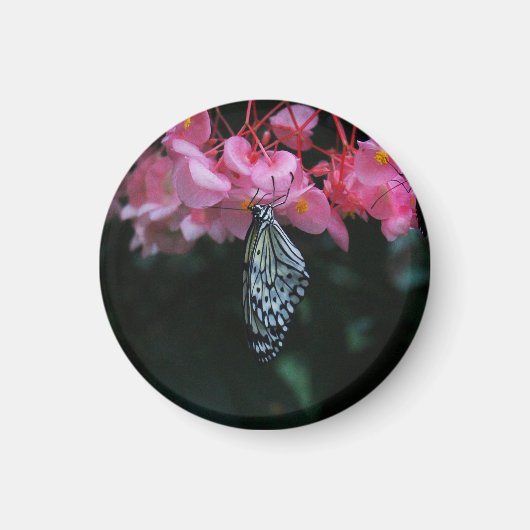 Aimant Papillon suspendu aux fleurs (Devant)
