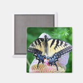 Aimant Papillon Swallowtail (Recto/Verso)