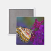 Aimant Papillon Tropical sur Fleurs Violettes (Recto/Verso)