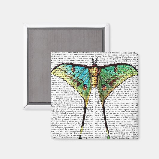 Aimant Papillon vibrant (Recto/Verso)