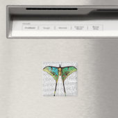 Aimant Papillon vibrant (In Situ (Lave-vaisselle))