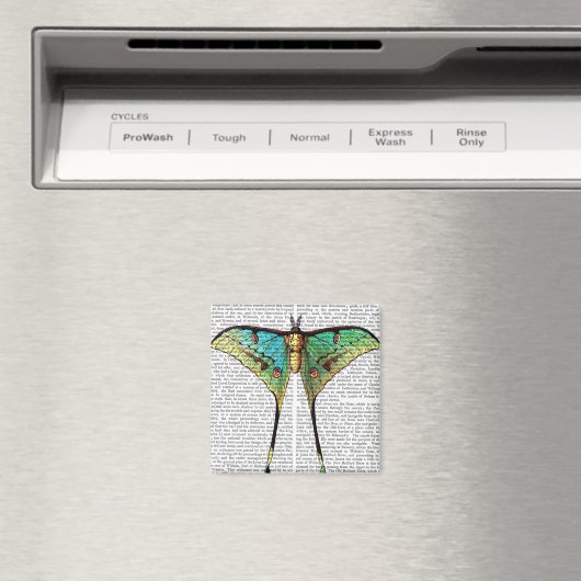 Aimant Papillon vibrant (In Situ (Lave-vaisselle))