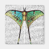 Aimant Papillon vibrant (Devant)