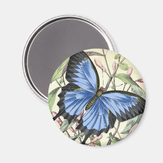 Aimant papillon vintage (Recto/Verso)