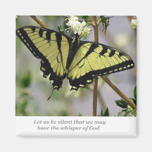 Papillon Whisper