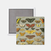 Aimant Papillons (Recto/Verso)