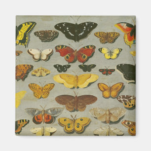 Aimant Papillons