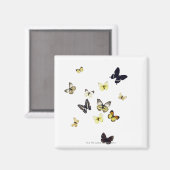 Aimant Papillons abattus sur blanc (Recto/Verso)