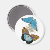 Aimant Papillons - Bleu (Recto/Verso)
