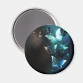 Aimant Papillons de nuit (Recto/Verso)