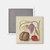 Aimant Papillons noix Fleur Cerisier Aquarelle Art (Recto/Verso)