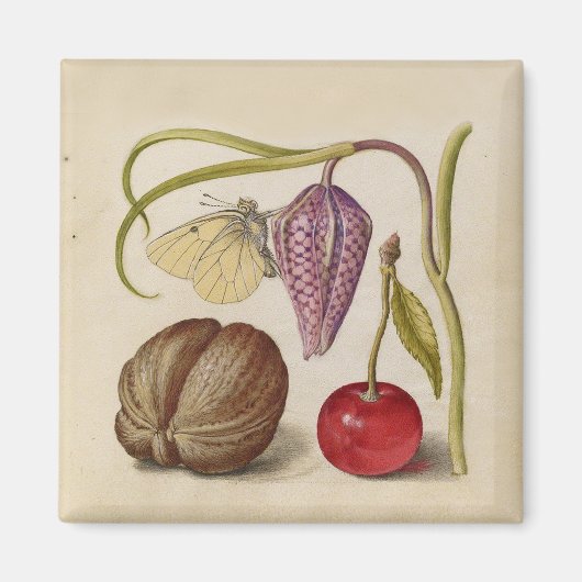 Aimant Papillons noix Fleur Cerisier Aquarelle Art (Devant)