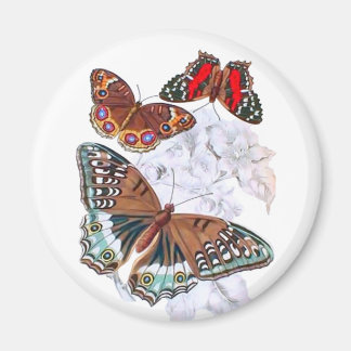 Aimant Papillons - Orange et Brown