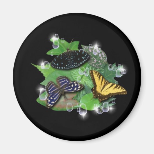 Aimant Papillons sur Feuille (Devant)