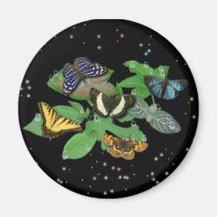 Aimant Papillons sur Feuille