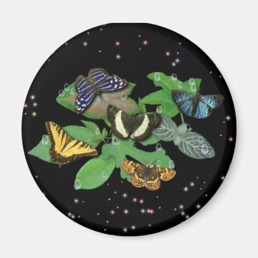 Aimant Papillons sur Feuille (Devant)