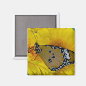 Aimant Papillons tropicaux (Recto/Verso)