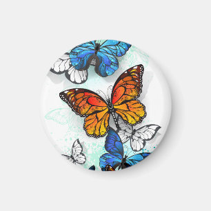 Aimant Papillons volants Morpho et Monarque