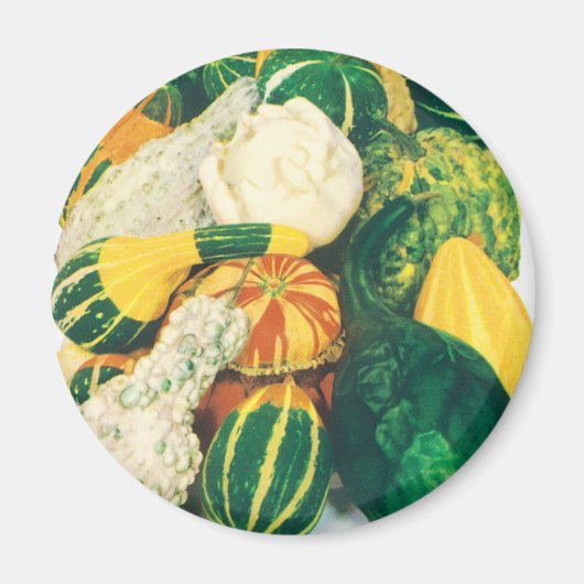 Aimant Paquet de semences vintage, Gourdes mixtes (Devant)