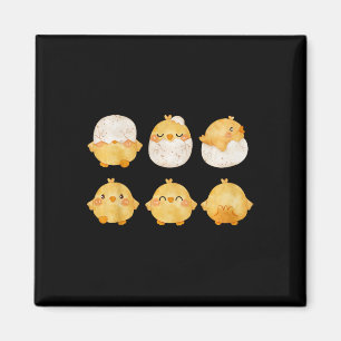 Aimant Par des poussins éclosant d'œufs Petits poulets mi