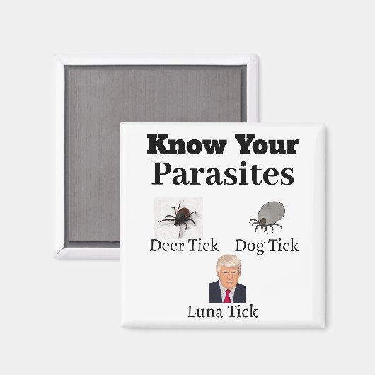 Aimant parasites (Recto/Verso)