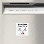 Aimant parasites (In Situ (Lave-vaisselle))