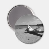 Aimant Parc de Driftwood Discovery (Recto/Verso)