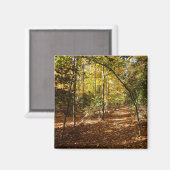 Aimant Parc de Greenbelt à l'automne I Paysage du Marylan (Recto/Verso)