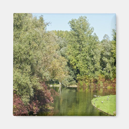 Aimant Parc de Rheinaue (Devant)