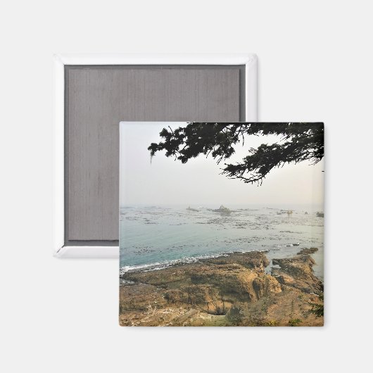 Aimant Parc d'état du Cap Arago, Côte de l'Oregon (Recto/Verso)