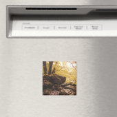 Aimant parc national backbone iowa (In Situ (Lave-vaisselle))