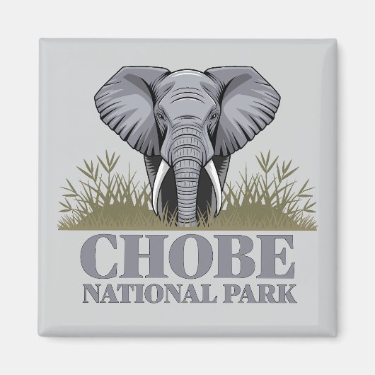 Aimant Parc national de Chobe Botswana (Devant)