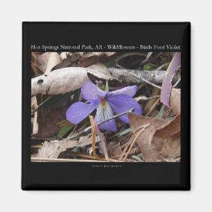 Aimant Parc national de Hot Springs, AR Cadeaux Violettes