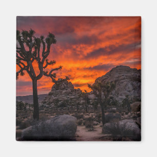 Aimant Parc national de Joshua Tree Coucher de soleil rou