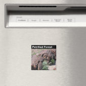 Aimant Parc national de la Forêt Petrifiée (In Situ (Lave-vaisselle))