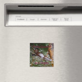 AIMANT PARC NATIONAL DE PLATYPUS EUNGELLA AUSTRALIE (In Situ (Lave-vaisselle))